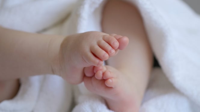 Wajib Tahu! Dua Nutrisi Ajaib Ini Cegah Stunting & Bikin Otak Bayi Pintar Sejak Kandungan