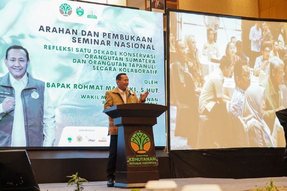 Populasi Orangutan Terkini Mengejutkan: Ini Data Baru Sumatra & Tapanuli yang Wajib Diketahui—Langkah Konservasi Mendesak!